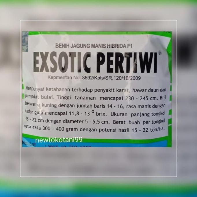 benih bibit jagung manis EXOTIC F1 produksi pertiwi