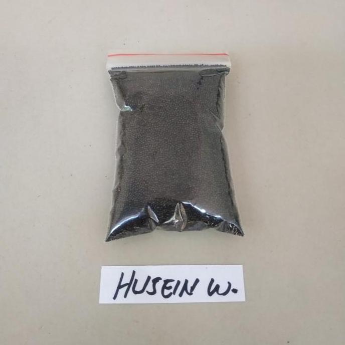 bibit benih bayam petik bayam peyek bayam kakap jumbo