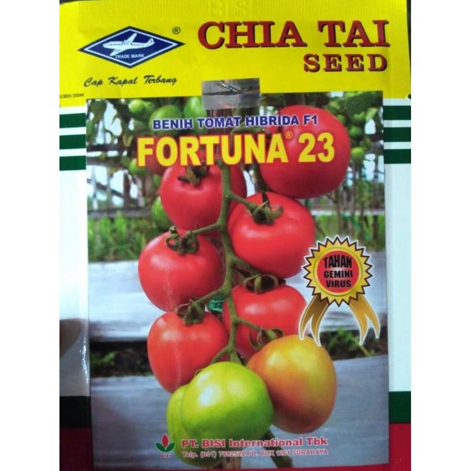 Benih Tomat Fortuna 23