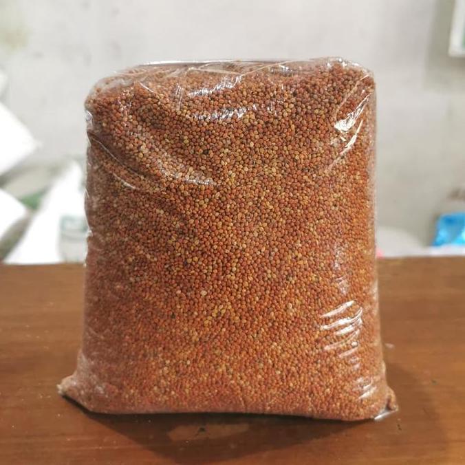 Kicaudor- Jewawut / Jawawut / Kunyit Pakan Burung