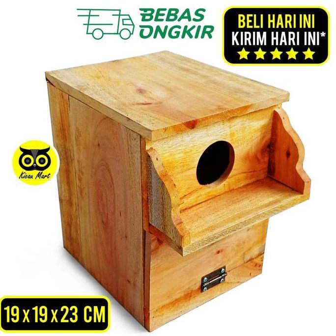 Kicaudor- Glodok Kayu Glodokan Topi Tempat Sarang Bertelur Kandang Burung Gltopi
