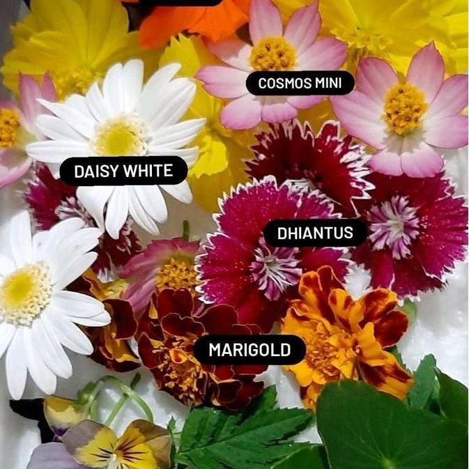 Edible flowers / efible flower / mixed edible flower