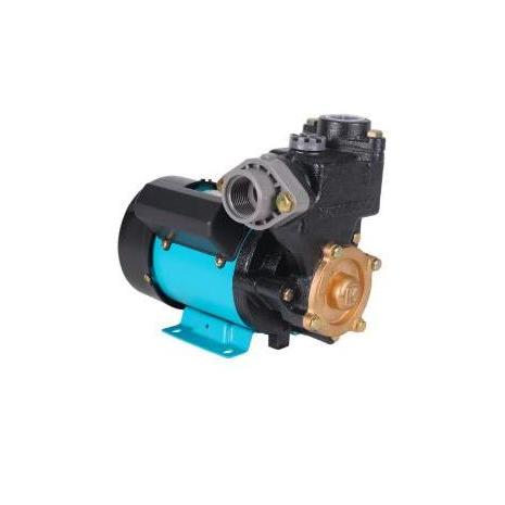 Wasser Pump / Shallow Pump / Pompa Air Pw-131E / Pw 131E Restock