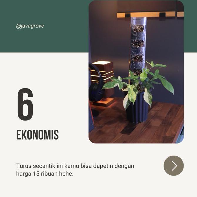 6 pcs TurusTetik GROSIR / Turus Plastik Mika Bening Mica / Moss pole TURUS ESTETIK