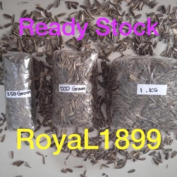 Dbutsu- Kuaci Parrot Kwaci Jumbo Sangrai / Mentah Pakan Burung Paruh Bengkok