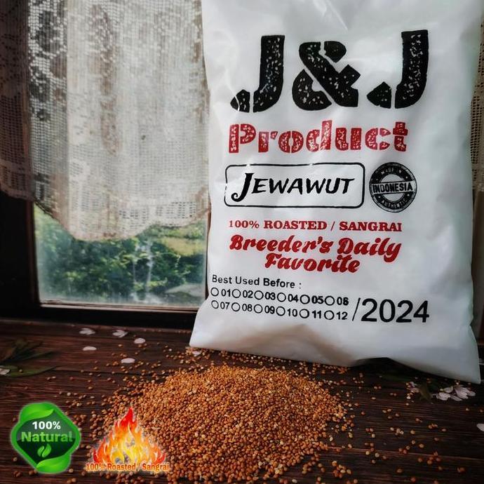 Dbutsu- Jewawut Foxtaill Milet Pakan Burung