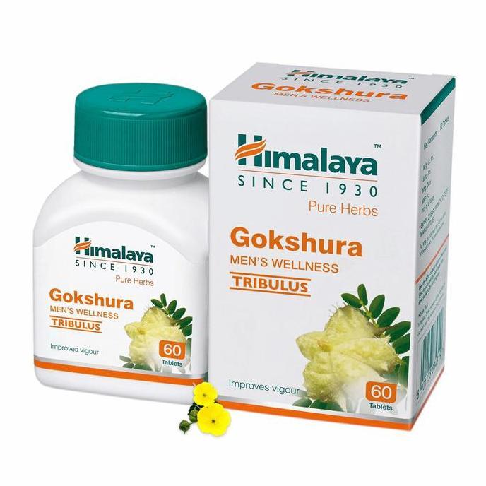 Kenk- Obat Perkasa Alami, Gokshura Original, Penyubur Pria, Fertilitas Pria