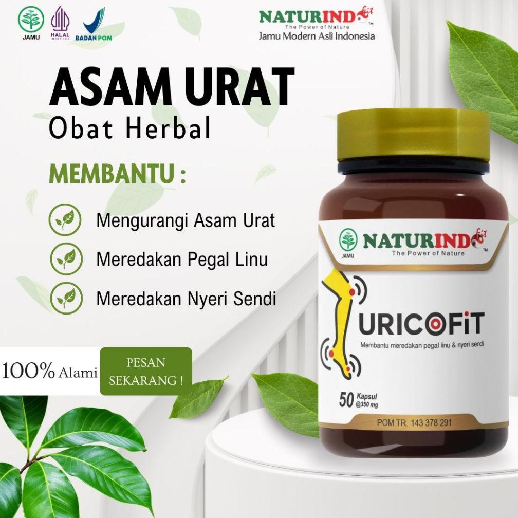 Asam Urat Jamu Herbal Uricofit Naturindo