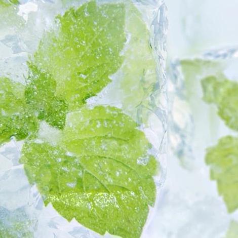 Zairyo- Tfa Menthol Liquid (Pg) Flavor