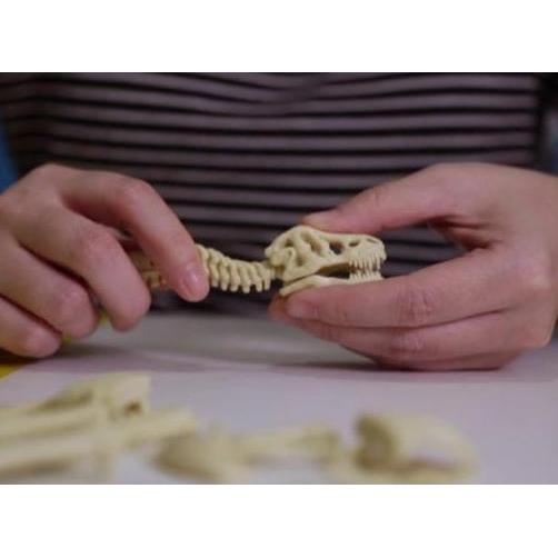 Sale Mainan Edukasi Dinosaurus Fossil | Arkeologi Dino Fosil - Montessori