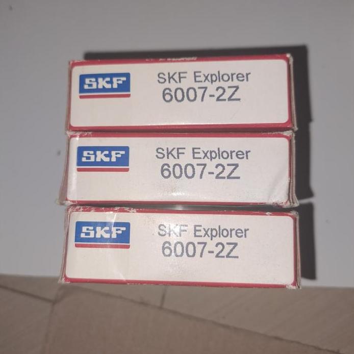 bering 6007 zz skf