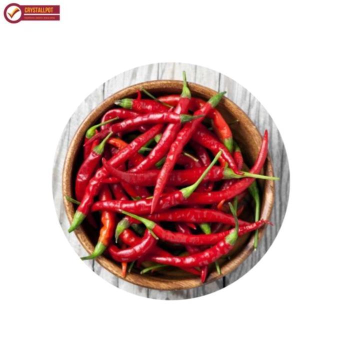 Abcd- Benih Bibit Cabe Keriting Pm 999 F1 Cap Panah Merah - Cabai Pm 999 F1