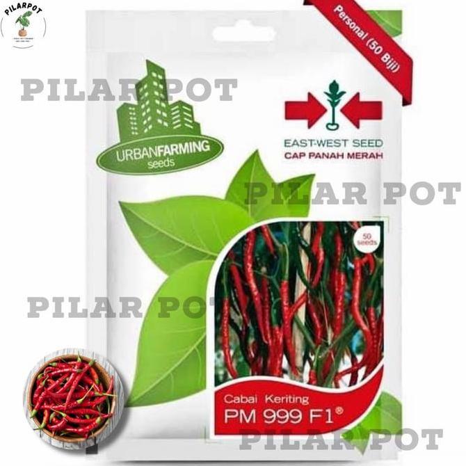 Abcd- Benih Bibit Cabe Keriting Pm 999 F1 Cap Panah Merah - Cabai Pm 999 F1
