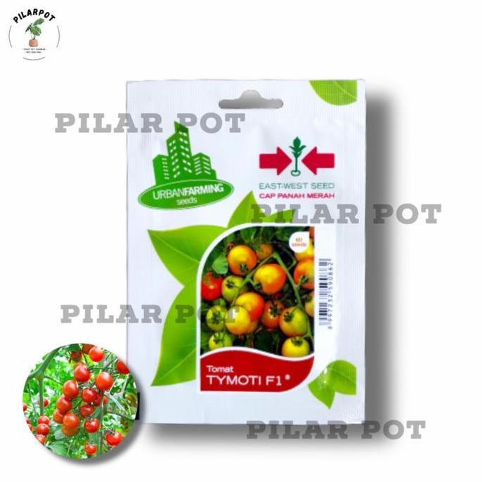 Abcd- Benih Bibit Tomat Tymoti F1 Cap Panah Merah - Tomat Tymoti F1