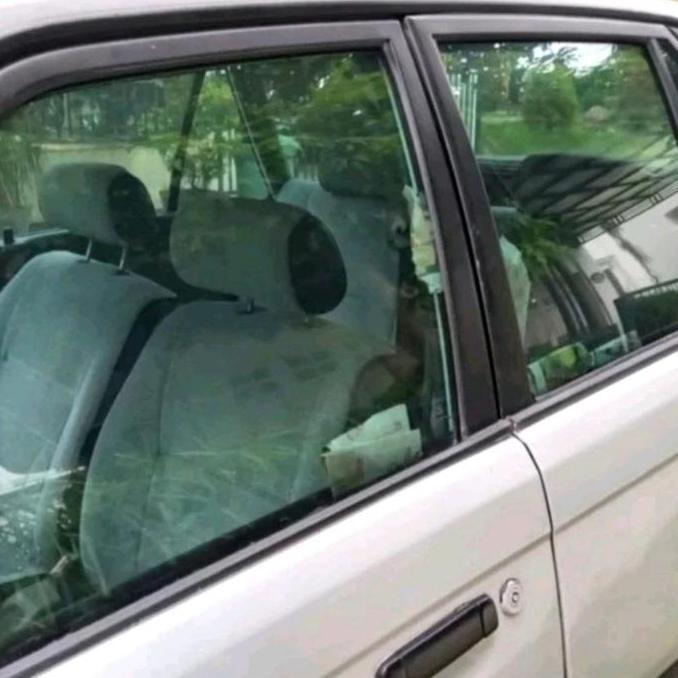 KACA FILM HIJAU BOTOL IJO BOTOL MOBIL KANTOR GEDUNG