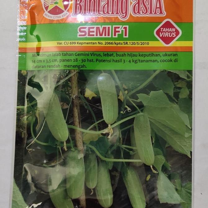 (PE) Benih baby timun SEMI F1 20 gram ketimun mini bintang asia Hijau Tanaman