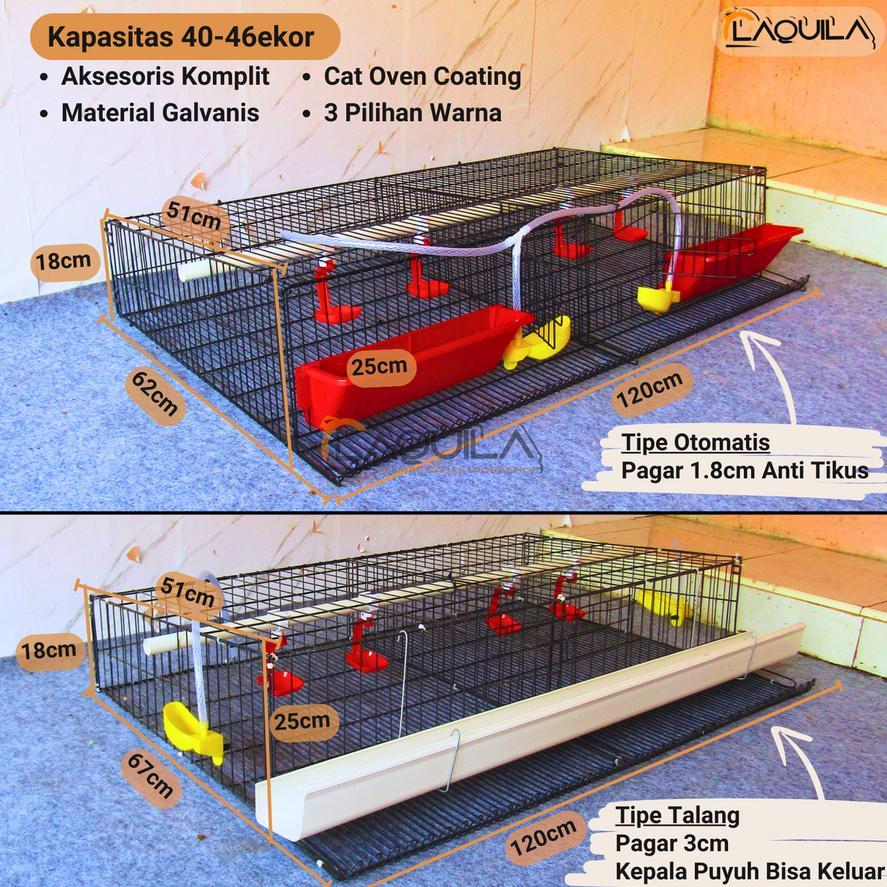 Ready Stock Kandang Puyuh Galvanis Puyuh Petelur 40 - 46 Ekor terlaris di Samarinda Kalimantan Timur