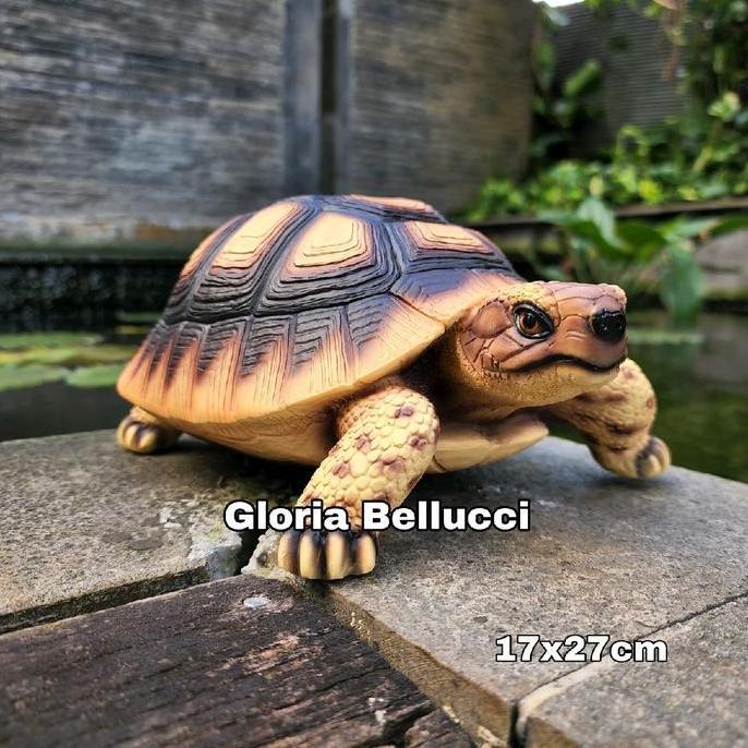 Promo patung kura kura sulcata pajangan kura2 tortoise africa besar COD