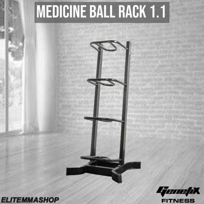 TERLARIS - GENETIX FIT Medicine Ball Vertical Rack 1.1