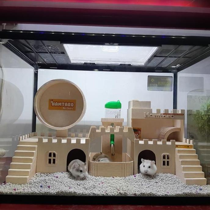 TERARIUM kandang hamster Besar dan Lucu mewah dan fullset REZ
