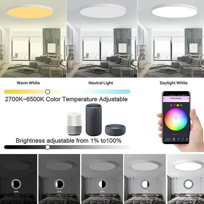 Promo 24W Tuya Wifi Smart Ceiling Light Rgbcw Led Lights Ceiling Lamp Cod