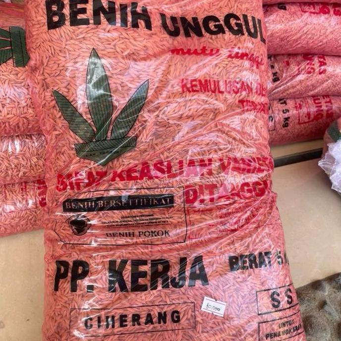 Terlaris Benih Padi Ciherang Ss Boyolali 5Kg