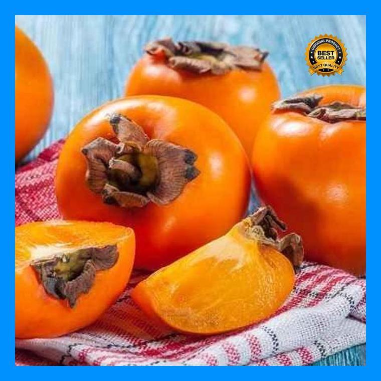 (Ready) [New]_Buah_Kesemek_Segar_Segar_Fruit Bestseller