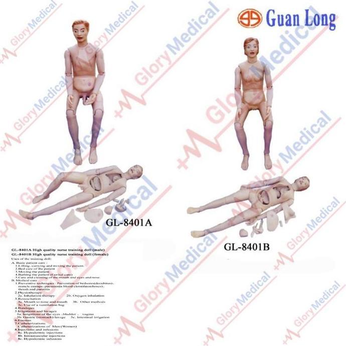 Alat Peraga/Manikin/Torso Manusia utuh Nurse Training Doll GL 8401A/B TEG