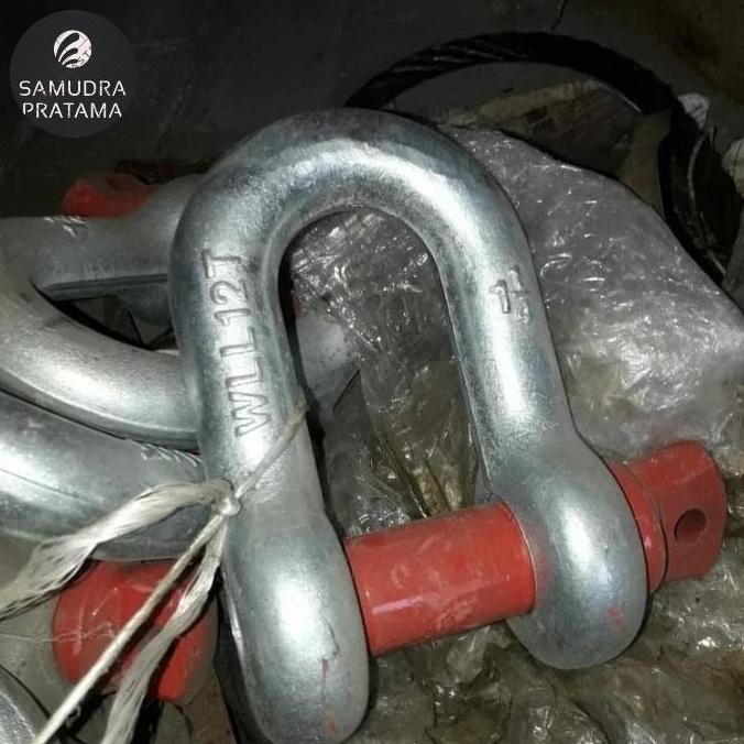 shackle D 12ton / shackle d 12ton / shackle de