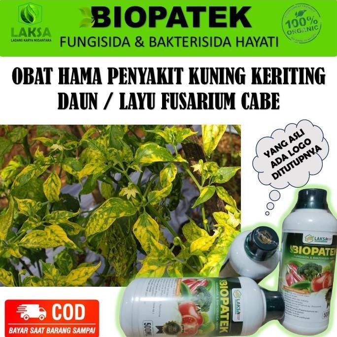 Biopatek Obat Hama Kriting Daun Cabe Paling ampuh - Biopatek Obat Hama Kriting Daun kuning Cabe - Bi