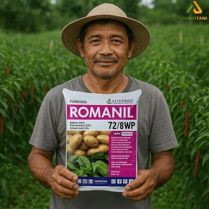 Romanil Fungisida Sistemik 72/8wp 400 gram klorotalonil 72% + simoksanil 8%