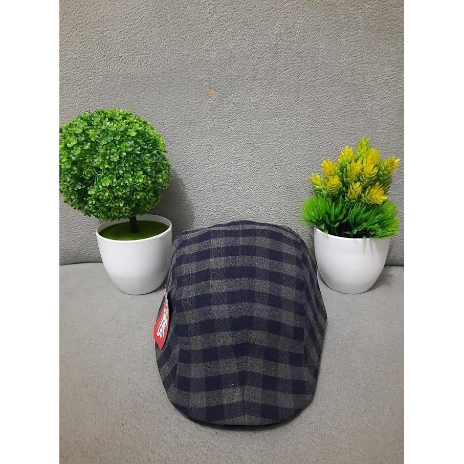 DE108 - Topi Pet Dewasa Kotak-kotak Random Topi Pelukis Topi Kodok Topi Sutradara Topi Baret Pak Tin