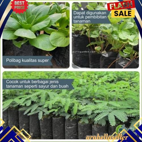 GROSIR Polybag Polibag Tanaman 30x30 cm Kemasan Berat 1Kg PG SBY