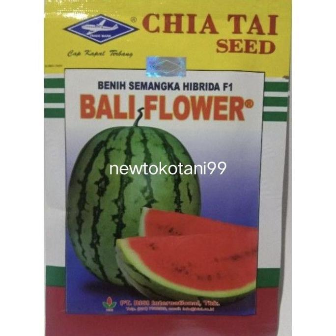Benih Semangka Bali Flower 20 Gram Semangka Hibrida Loreng Lonjong Merah Bali Flower 20 Gr Dari Bisi