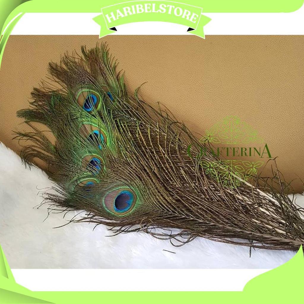 Replika Bulu Merak Sintetis Halus Imitasi / Kerajinan Replika Bulu Hewan Burung Merak C Promo