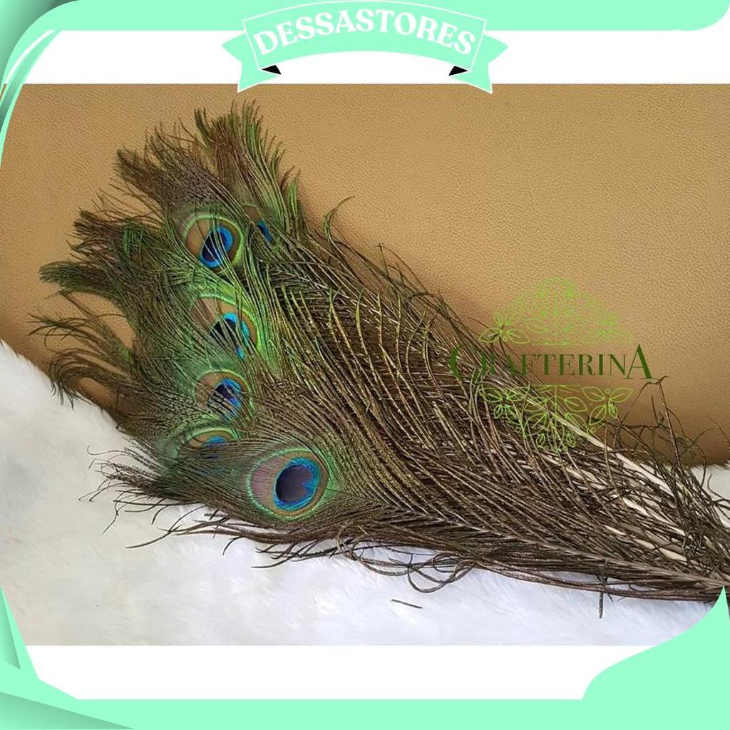 Replika Bulu Merak Sintetis Halus Imitasi / Kerajinan Replika Bulu Hewan Burung Merak C Ori