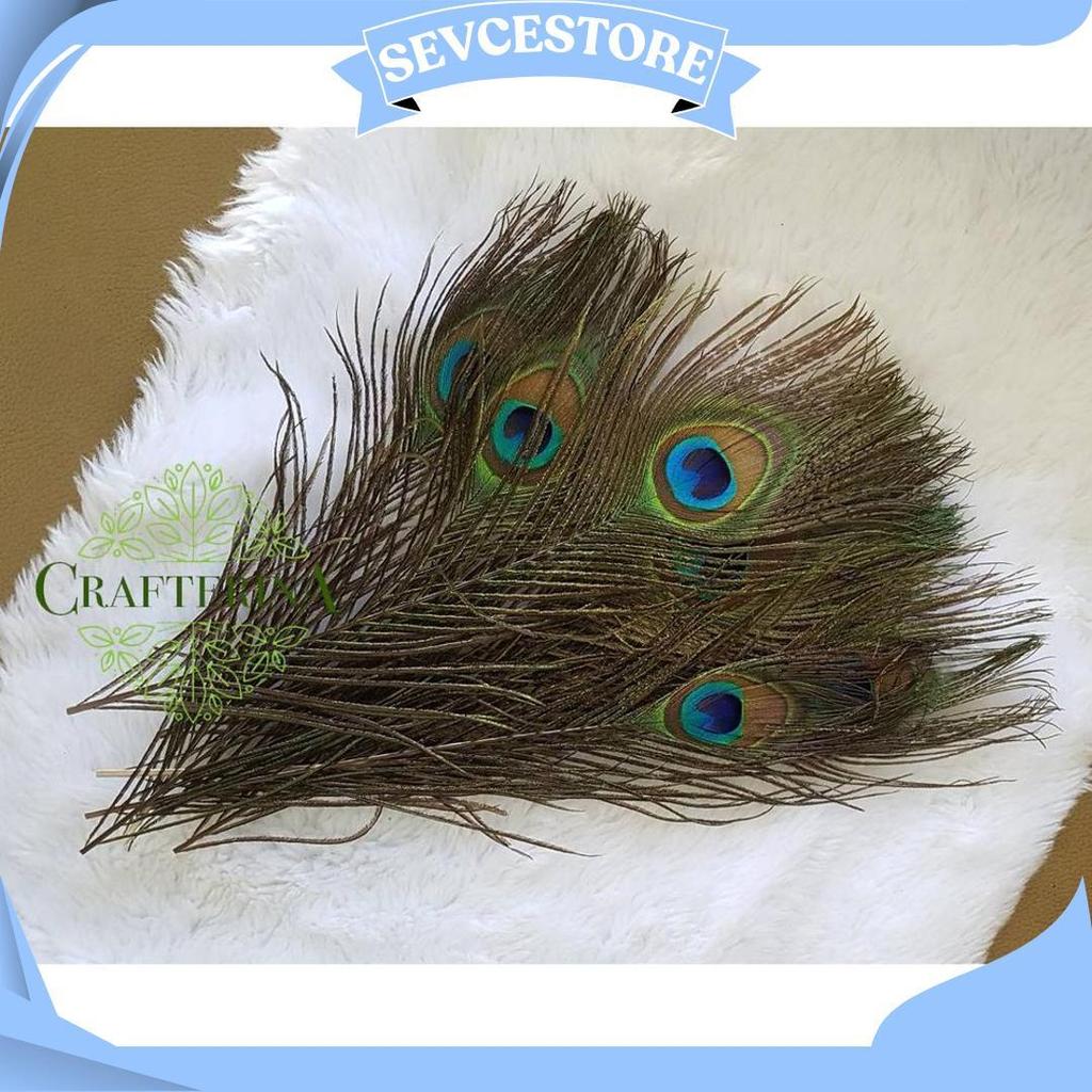 Replika Bulu Merak Sintetis Halus Imitasi / Kerajinan Replika Bulu Hewan Burung Merak C Promo