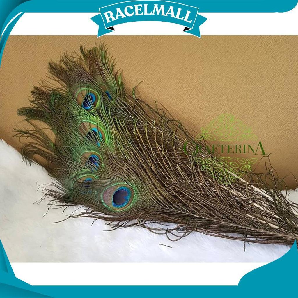 Replika Bulu Merak Sintetis Halus Imitasi / Kerajinan Replika Bulu Hewan Burung Merak C Sale