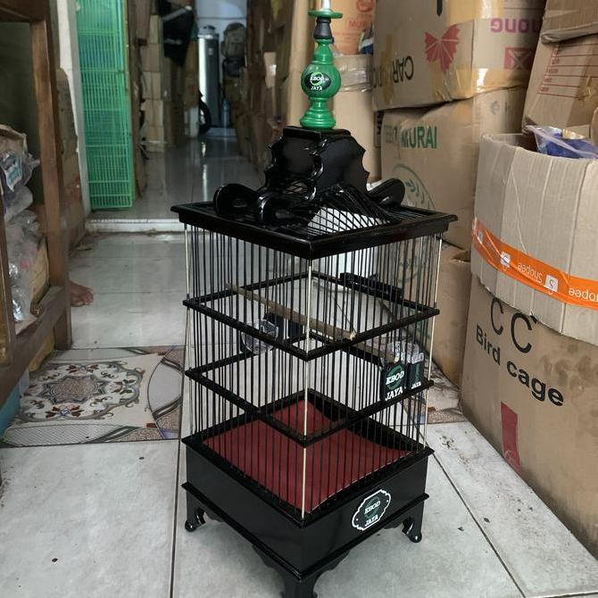 SANGKAR KANDANG PLECI EBOD JAYA
