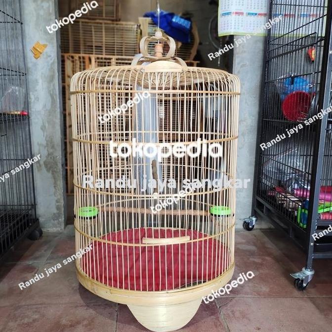 sangkar burung murai mentahan,terlaris