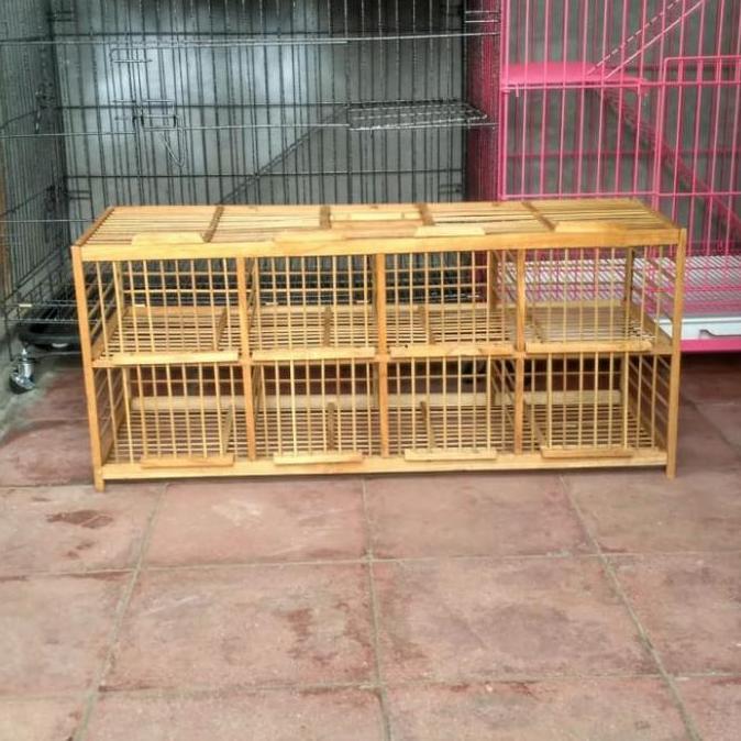 Kandang burung Dara 8 pintu samping kayu jati