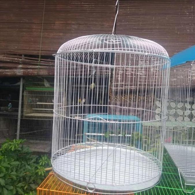 sangkar burung bulat besi besar
