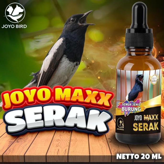 TERLARIS - OBAT BURUNG SERAK | TENGGOROKAN SERAK | SUARA SERAK | MENGEMBALIKAN SUARA SERAK |  MAXX A