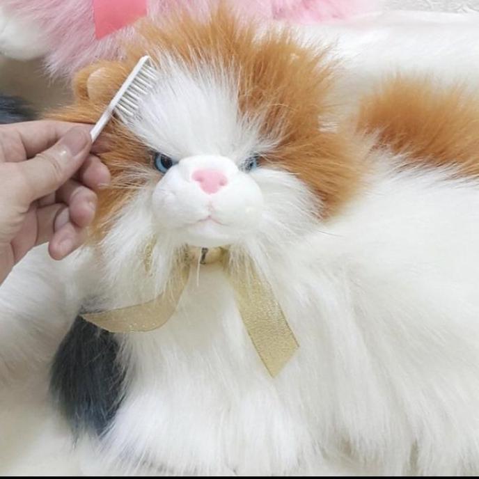 Boneka kucing lucu import
