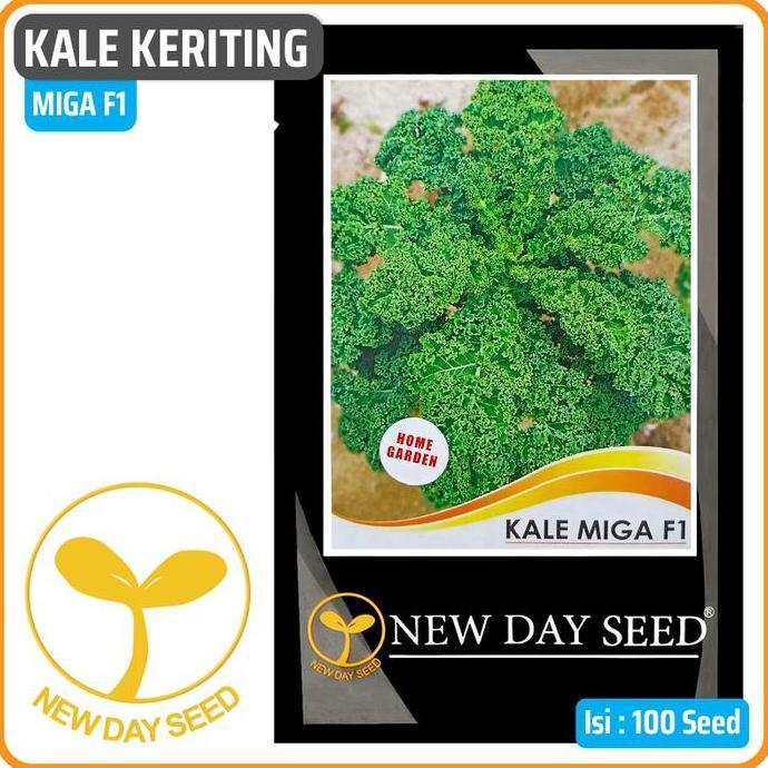 Benih New Day Seed - Kale Miga F1