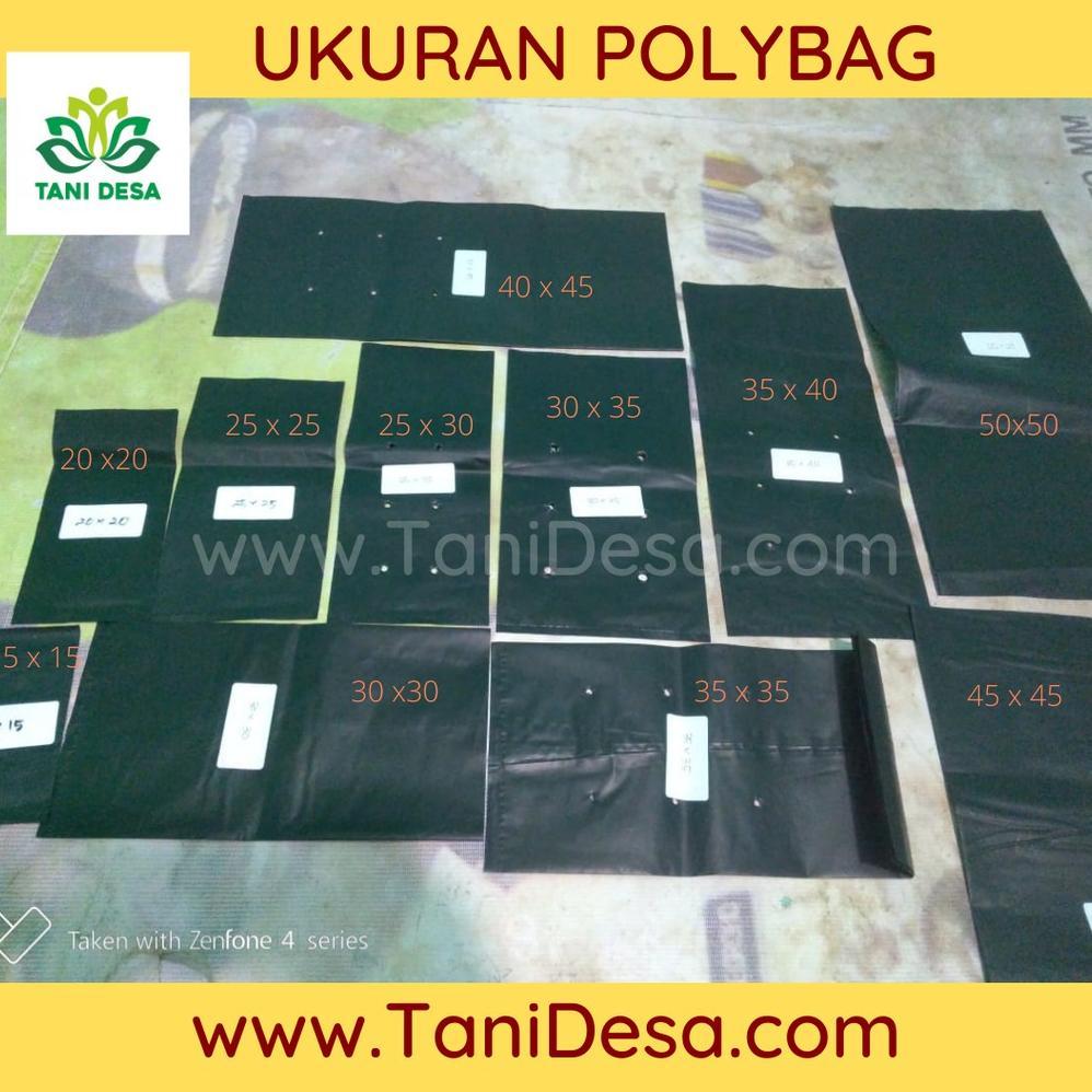Bisa Cod Polybag / Polibek Besar 60X60 (Isi 5 Lembar) ,,