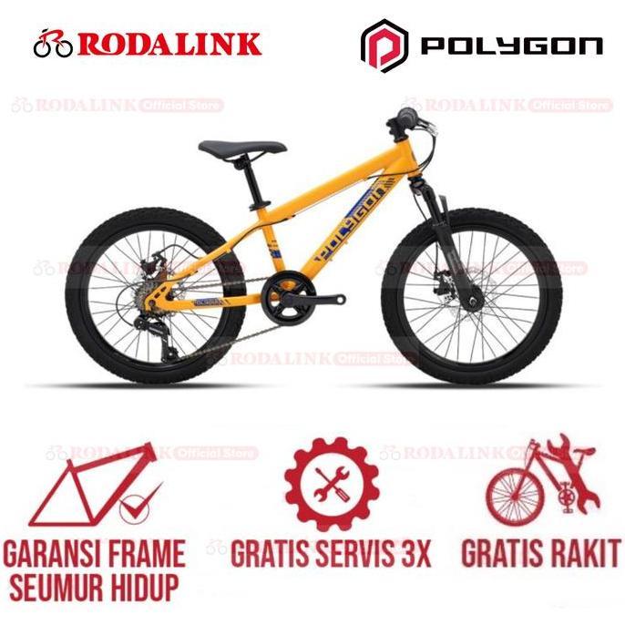 Terbaru Polygon Sepeda Anak Maze M20 - Sepeda Gunung Mtb Anak 20"