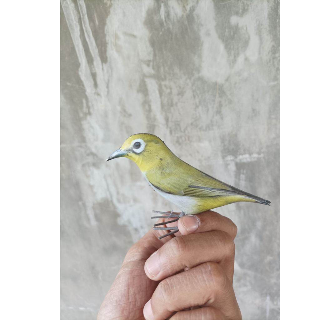 COD pancingan burung pleci REPLIKA MANUK ocehan manuk kacamata JONTROT BURUNG pleci bustomi BONEKA P