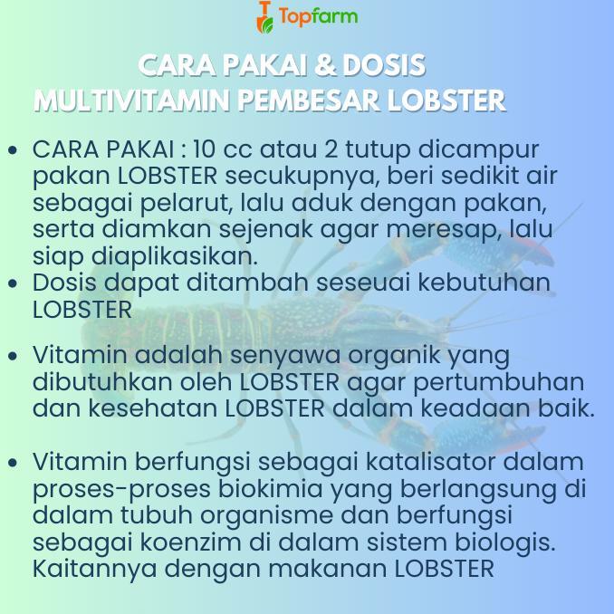 Vitamin Lobster Air Tawar Vitamin Lobster Vitamin Udang Lobster Vitamin Penggemukan Lobster Vitamin 