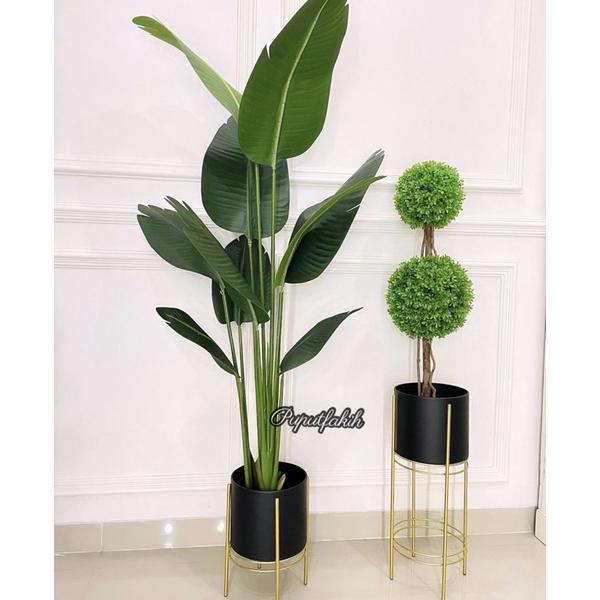 Pohon Pisang informa 160cm / Pohon Hias Palsu / Artificial Plant